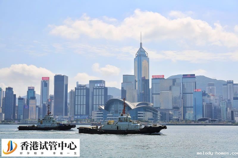 卵子冷冻技术适合哪些人群保存生育能力？